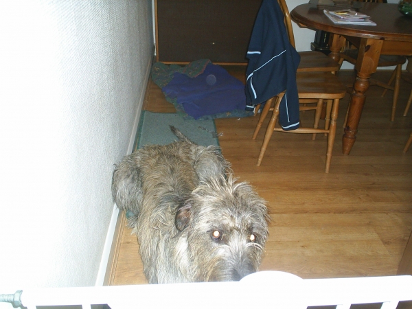  - click for next photo