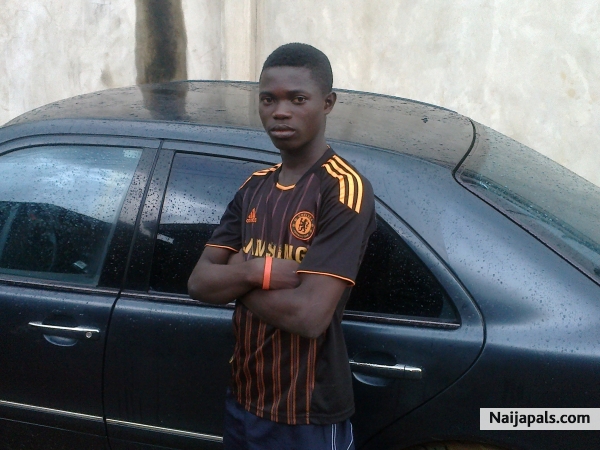  - click for next photo