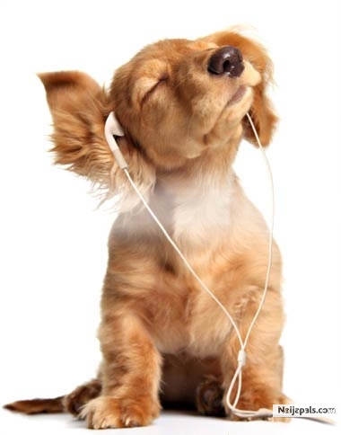 Need 4 Music - click for next photo