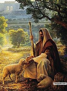 Good shepherd - click for next photo