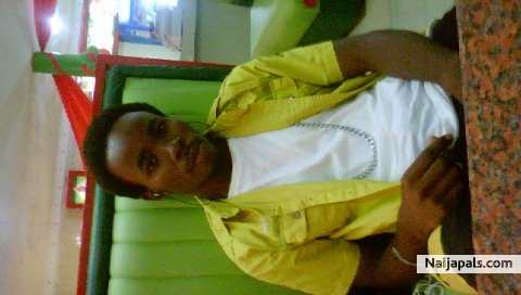 X-rex a.k.a young puzzle...Netbricks baby !!!! - click for next photo