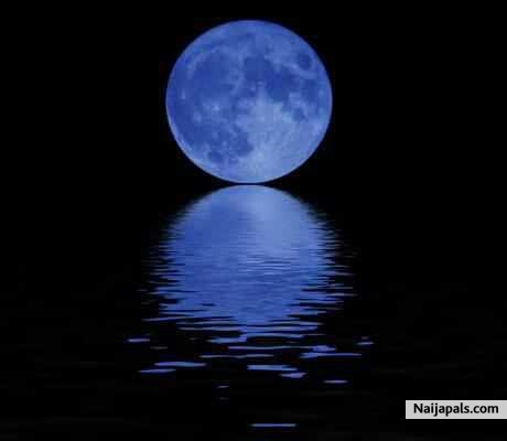 A moonlit night perfect for falling in love. - click for next photo
