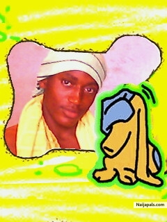 the real imole - click for next photo