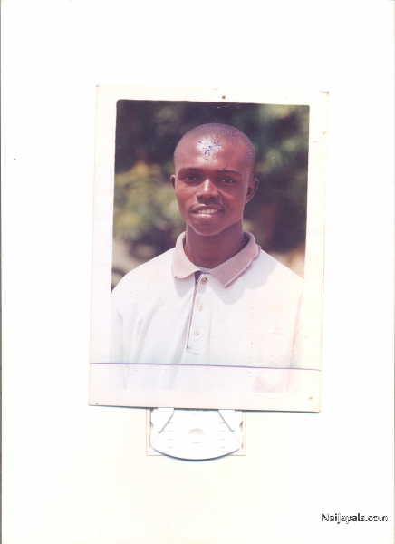 tomy boy - click for next photo