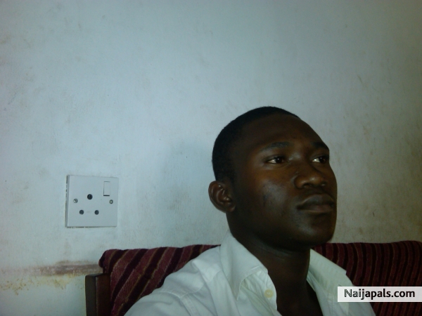 new look - click for next photo
