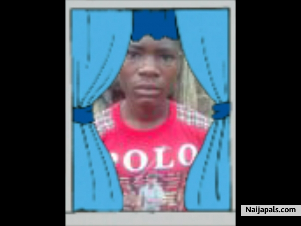 Dayil cletus - click for next photo