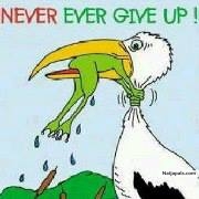 neva give up - click for next photo