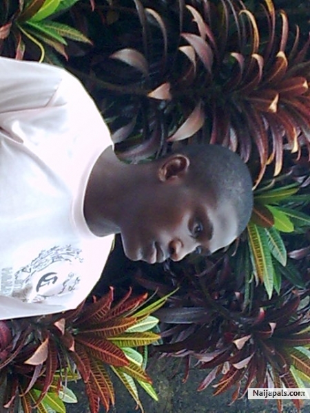 mosesa 04 - click for next photo