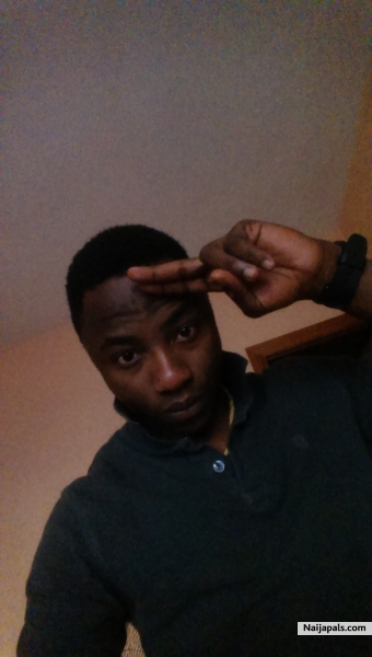 toluamusat91