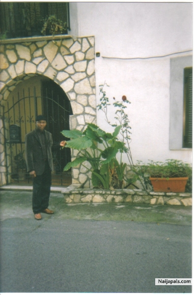  - click for next photo