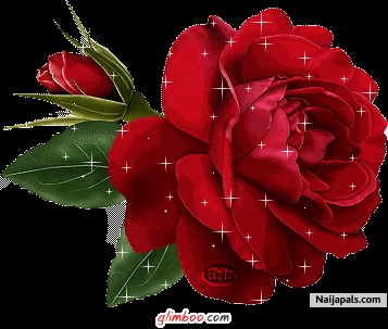 I AM LOOKING FOR GOOD LOVE - click for next photo