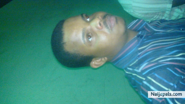  - click for next photo
