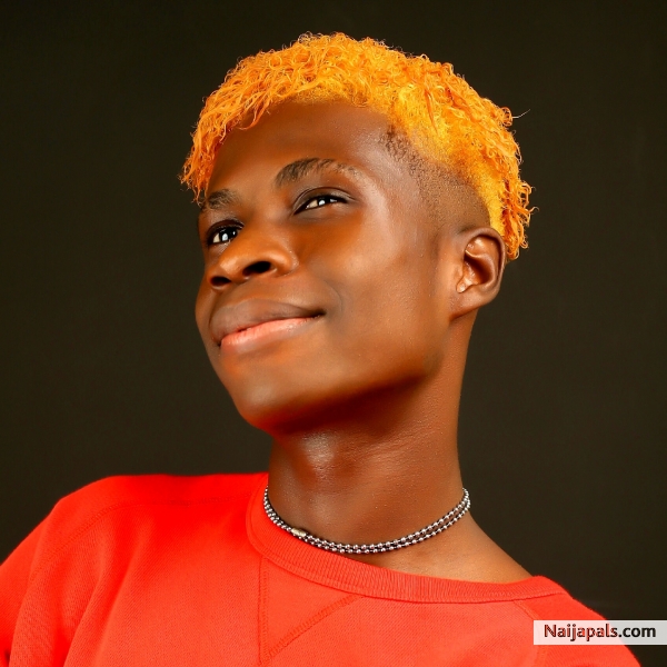 Elvis Awowari (UAB Elviswap) : Website designer in Port Harcourt - click for next photo