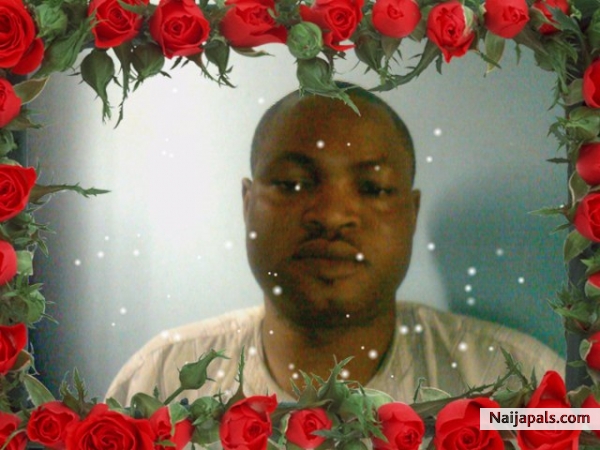 bussypic - click for next photo