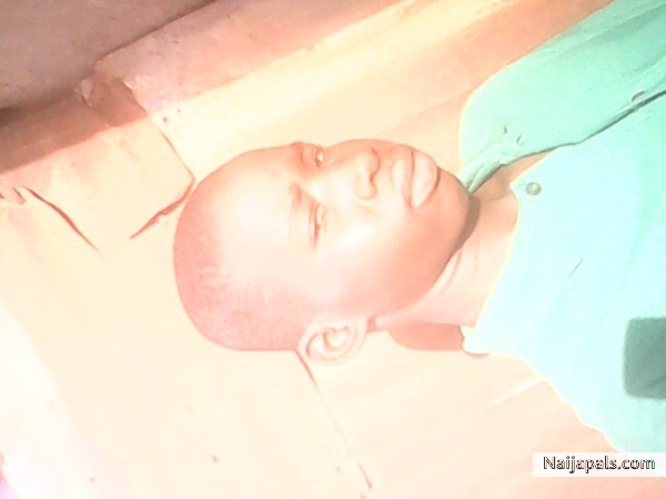  - click for next photo