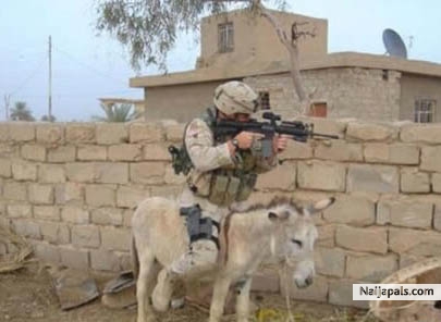 real good fucking marine - click for next photo