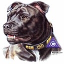 IF U NEED A FRIEND GET A DOG - click for next photo