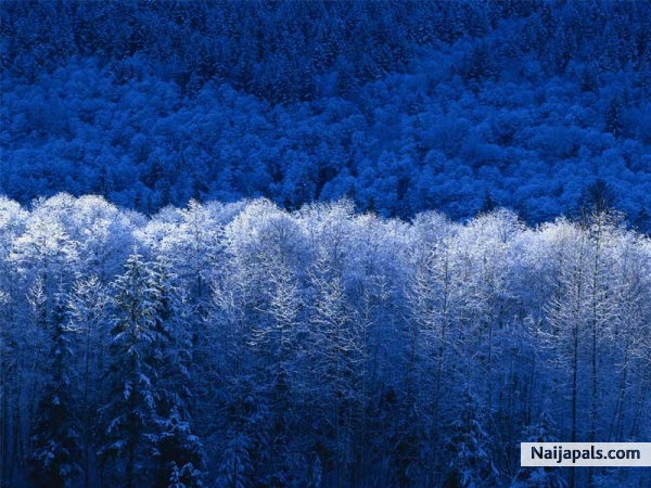 Winters prepares you for Love space. - click for next photo