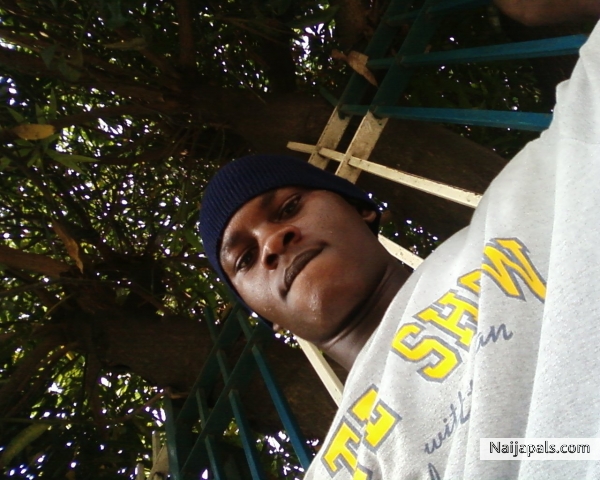 chill - click for next photo