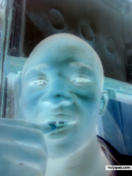 Rude boy - click for next photo