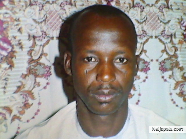 Mark Federe - click for next photo