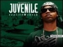 juvenile - click for next photo