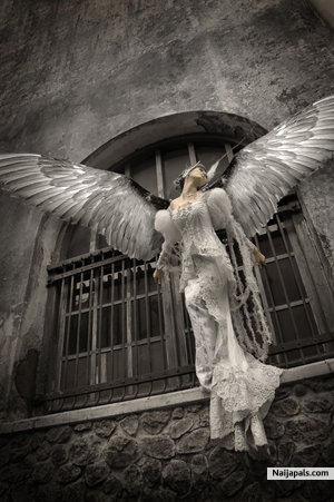Angel - click for next photo