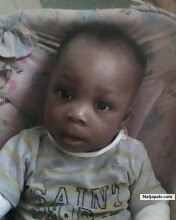 papi - click for next photo