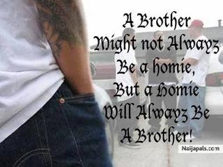 Broo! - click for next photo