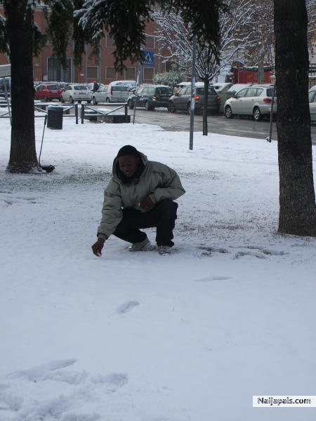  - click for next photo