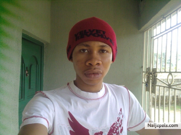 Andrewxy - click for next photo