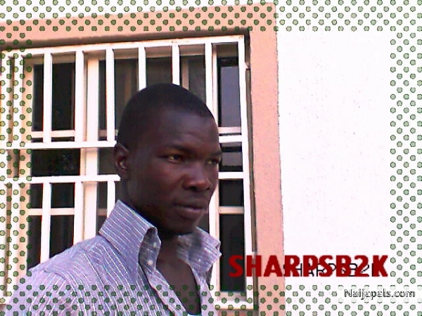 - click for next photo