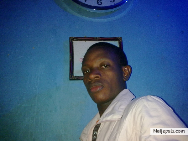 image - click for next photo