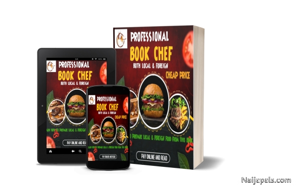 PROFESSIONAL CHEF BOOK - GET IT ONLINE - click for next photo