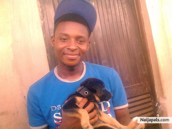  - click for next photo