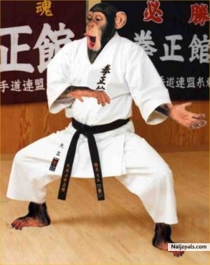just funny - click for next photo
