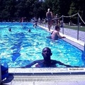 wanna swimm with me? - click for next photo