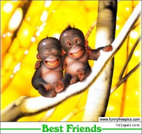 best friends - click for next photo