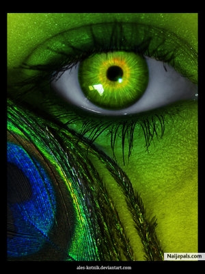 aww.........dis is wicked......... - click for next photo