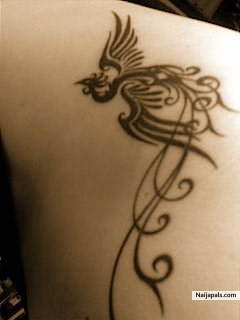 phenix - click for next photo