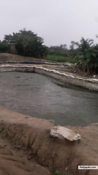 A 30 thousand Capacity fish pond for sell - click for next photo