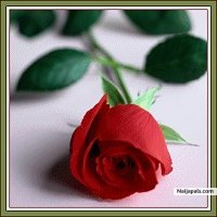 my heart - click for next photo