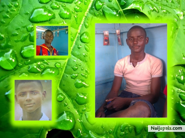  - click for next photo