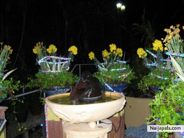 A garden shot. - click for next photo