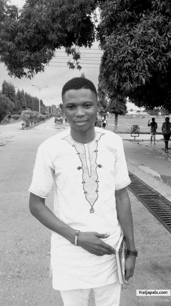 Benno - click for next photo