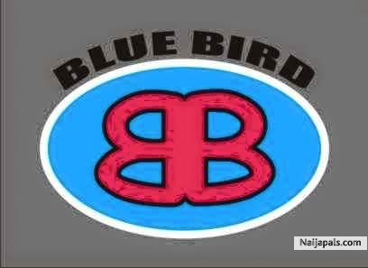 Bluebird - click for next photo