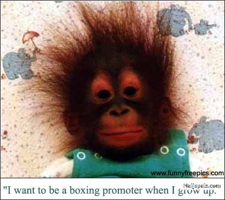 ambitious monkey - click for next photo