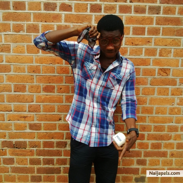 Kman Music World - click for next photo