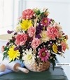 i wil love you - click for next photo