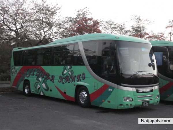 k00L BuS - click for next photo
